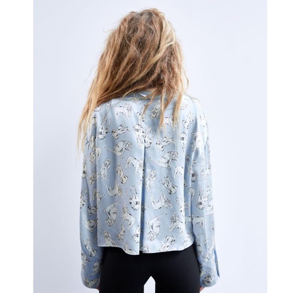 Zara - Dog Pattern Printed Sky Blue TRF Shirt - Picture 5 of 11